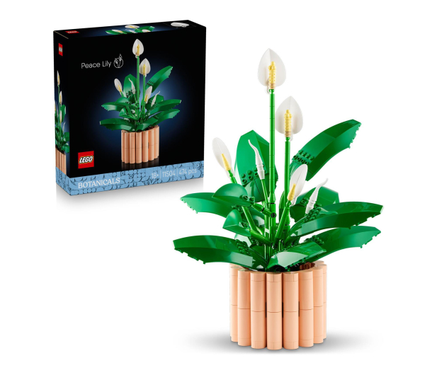 LEGO BOTANICALS 11504 Skrzydłokwiat - 1473410 - zdjęcie 2